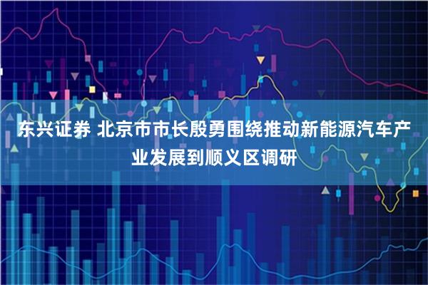 东兴证券 北京市市长殷勇围绕推动新能源汽车产业发展到顺义区调研