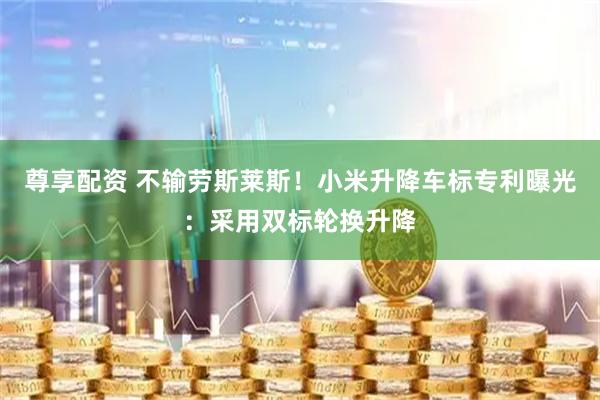 尊享配资 不输劳斯莱斯!小米升降车标专利曝光:采用双标轮换升降